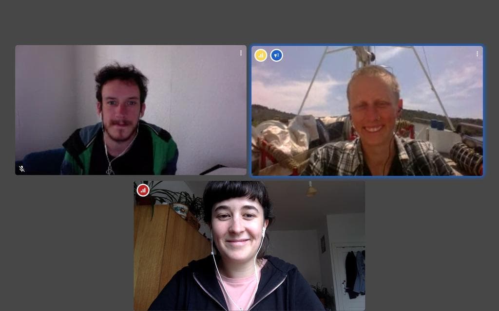 Screenshot of a group video call